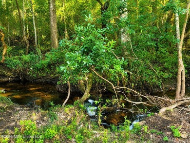 Enjoy the peaceful sounds of a bubbling creek on this beautiful - photo 14