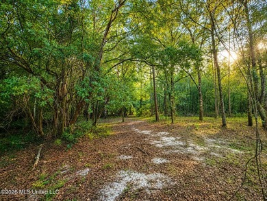Enjoy the peaceful sounds of a bubbling creek on this beautiful - photo 16