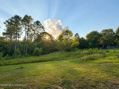 Enjoy the peaceful sounds of a bubbling creek on this beautiful - photo 18