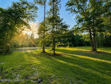 Enjoy the peaceful sounds of a bubbling creek on this beautiful - photo 20