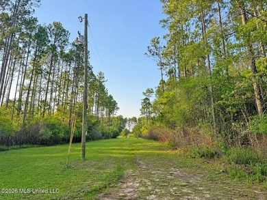 Enjoy the peaceful sounds of a bubbling creek on this beautiful - photo 21