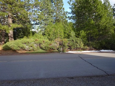 Lake Almanor Lot For Sale in Lake Almanor California