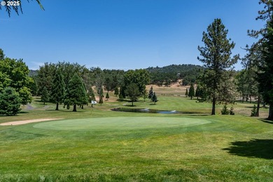 Beautiful 5-bed, 4-bath custom home on nearly one acre in a - photo 46
