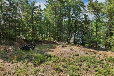 Build Your Lakeside Retreat.  Here is a rare opportunity to own - photo 2