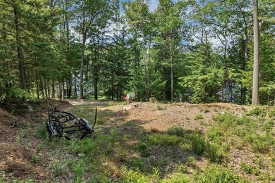 Build Your Lakeside Retreat.  Here is a rare opportunity to own - photo 3