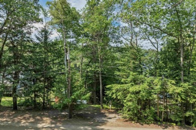 Build Your Lakeside Retreat.  Here is a rare opportunity to own - photo 4