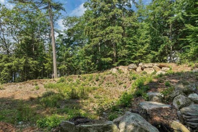 Build Your Lakeside Retreat.  Here is a rare opportunity to own - photo 5