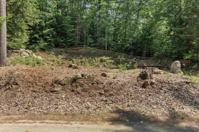 Build Your Lakeside Retreat.  Here is a rare opportunity to own - photo 7