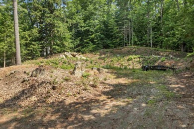 Build Your Lakeside Retreat.  Here is a rare opportunity to own - photo 8