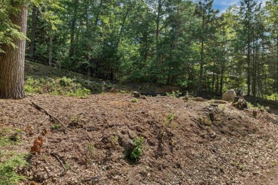 Build Your Lakeside Retreat.  Here is a rare opportunity to own - photo 10