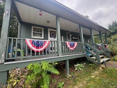 Grand River  Home For Sale in Perry Ohio