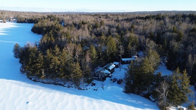Plunkett Pond Home For Sale in Benedicta Twp Maine