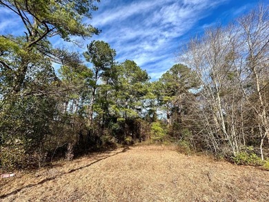 Second Mill Pond  Lot For Sale in Sumter South Carolina