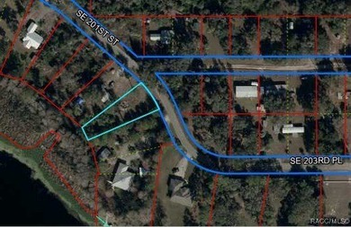 Lake Rousseau Lot For Sale in Inglis Florida