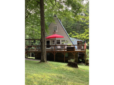 Summersville Lake Home For Sale in Summersville West Virginia