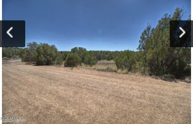 Lake Lot For Sale in Show Low, Arizona