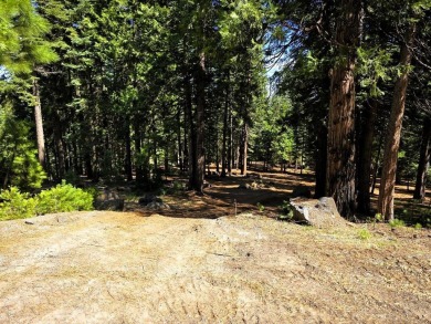 Lake Lot For Sale in Lake Almanor, California