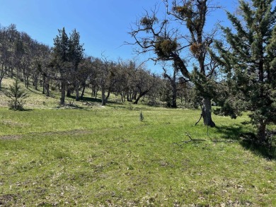 Lake Lot For Sale in Montague, California