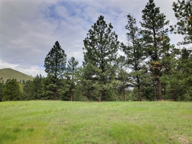 (private lake, pond, creek) Acreage For Sale in Jefferson City Montana