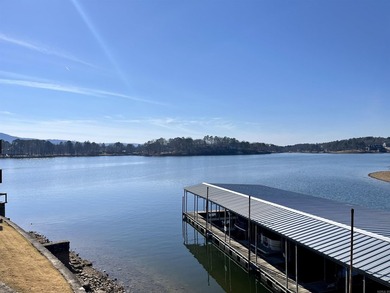 Life on Lake Hamilton doesn't get much easier than this - photo 31