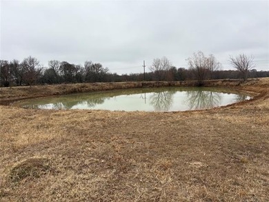 Lake Acreage For Sale in Durant, Oklahoma