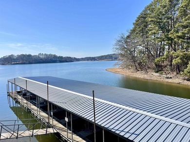 Life on Lake Hamilton doesn't get much easier than this - photo 37