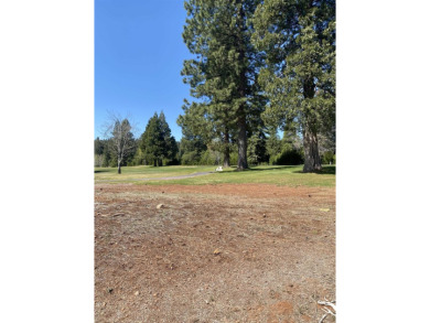 Lake Almanor Lot For Sale in Lake Almanor California