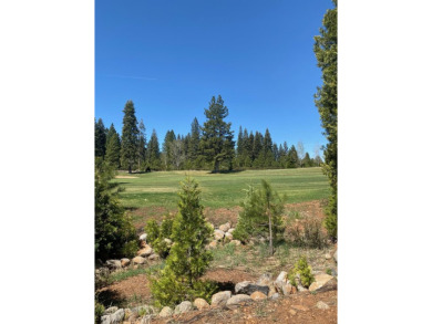 Lake Almanor Lot For Sale in Lake Almanor California