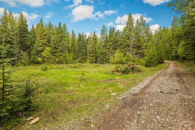 Bordering Forest Service on one side. A rare 40 acre parcel with - photo 5