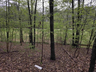 Lake Catherine Lot For Sale in Hot Springs Arkansas