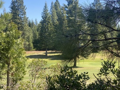 Lake Almanor Lot For Sale in Lake Almanor California