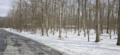 Lake Lot For Sale in Hawley, Pennsylvania