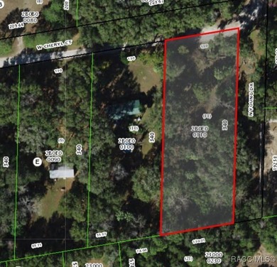 Lake Rousseau Lot Sale Pending in Dunnellon Florida