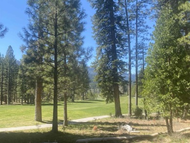 (private lake, pond, creek) Lot For Sale in Clio California