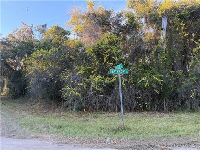 Lake Acreage For Sale in Hernando, Florida