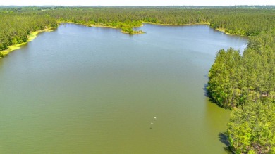 Lake Acreage For Sale in Ellisville, Mississippi