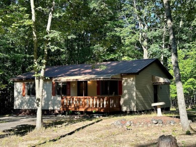 Lake Home For Sale in Roscommon, Michigan