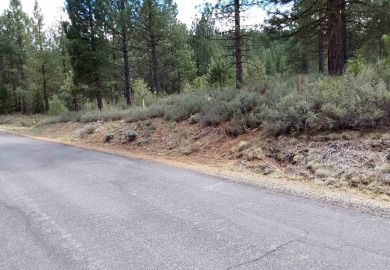 Lake Lot For Sale in Portola, California