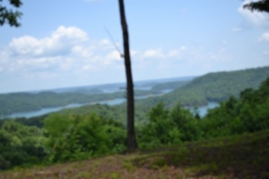 E Rockfish Rd - photo 11