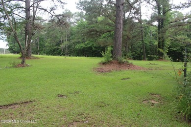 Spacious country living with room to grow! This well-maintained - photo 10