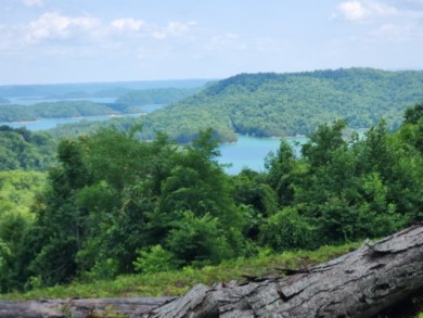 E Rockfish Rd - photo 3