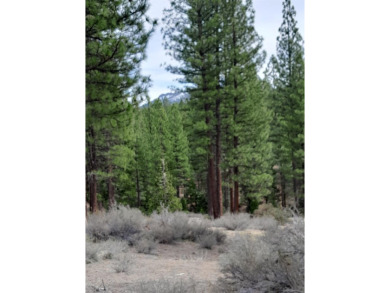 Lake Lot For Sale in Portola, California