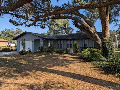 Lake Spivey Home For Sale in Inverness Florida