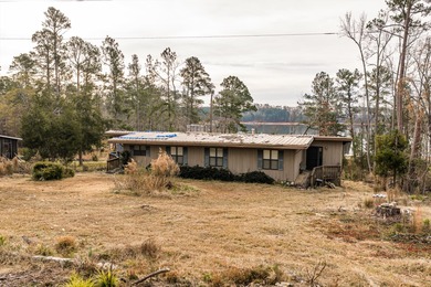 Strom Thurmond / Clarks Hill Lake Home For Sale in Lincolnton Georgia