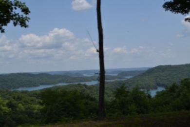 E Rockfish Rd - photo 10
