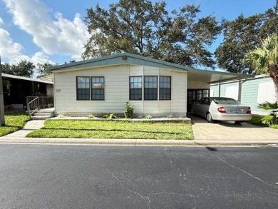 (private lake, pond, creek) Home For Sale in Palm Harbor Florida