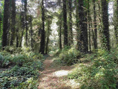 Wow. An acre + Less than 300 yards to the ocean and on a side - photo 1