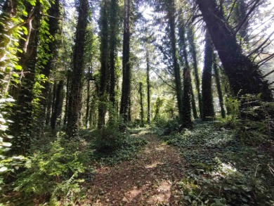 Wow. An acre + Less than 300 yards to the ocean and on a side - photo 2