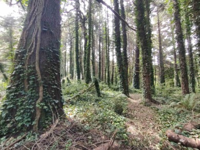 Wow. An acre + Less than 300 yards to the ocean and on a side - photo 4