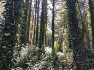 Wow. An acre + Less than 300 yards to the ocean and on a side - photo 7